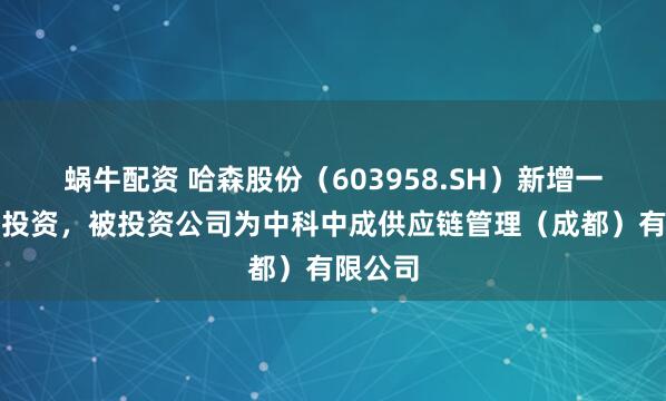 蜗牛配资 哈森股份（603958.SH）新增一起对外投资，被投资公司为中科中成供应链管理（成都）有限公司