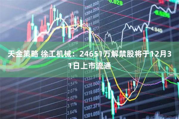 天金策略 徐工机械：24651万解禁股将于12月31日上市流通